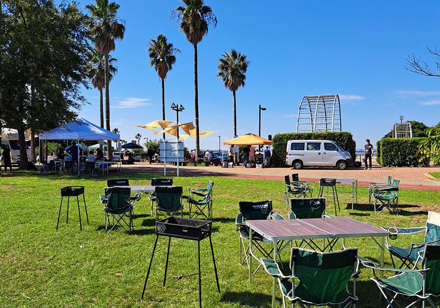 ヤシの木と芝生